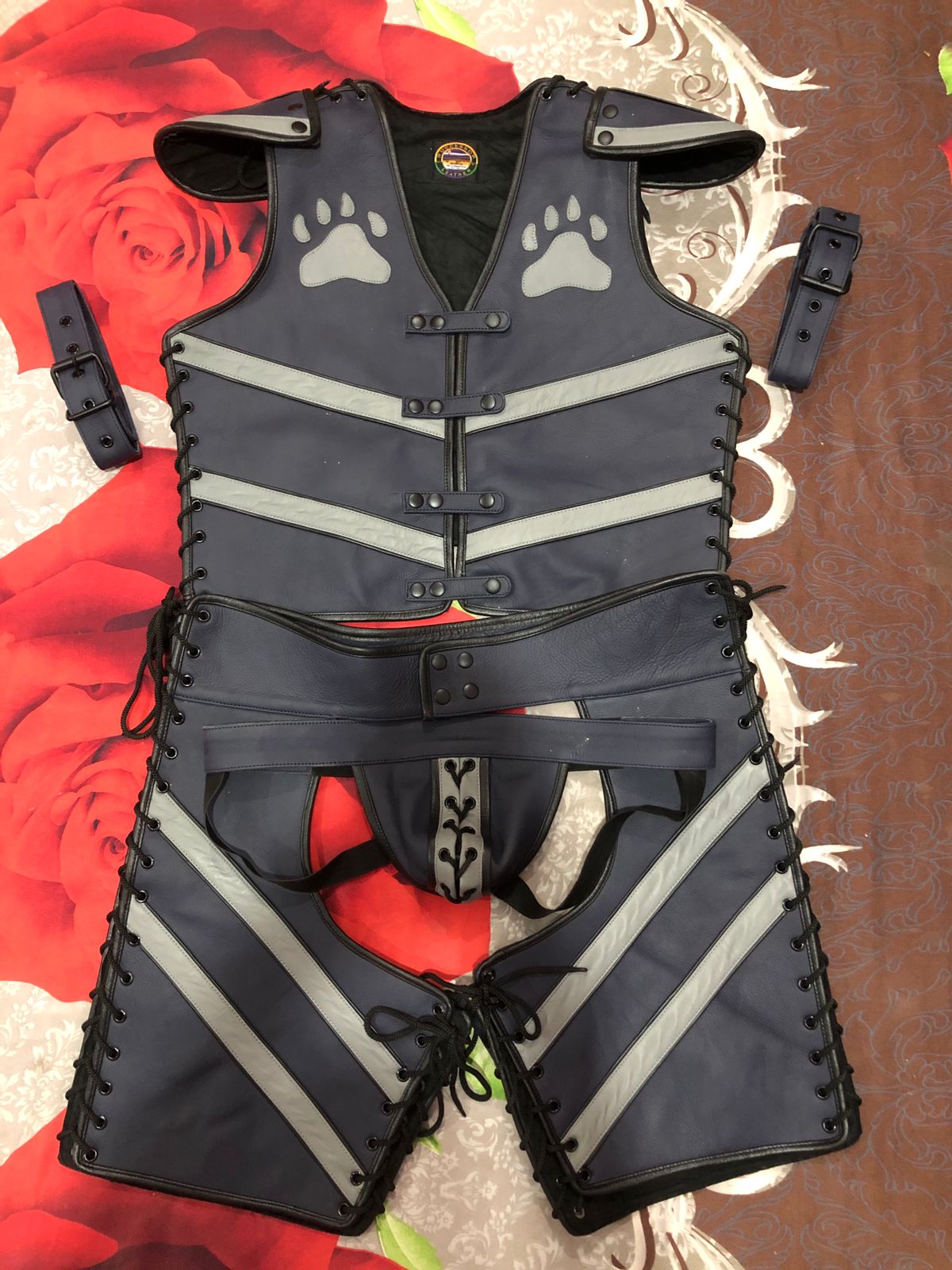 Successor Leather Pup vest and chaps