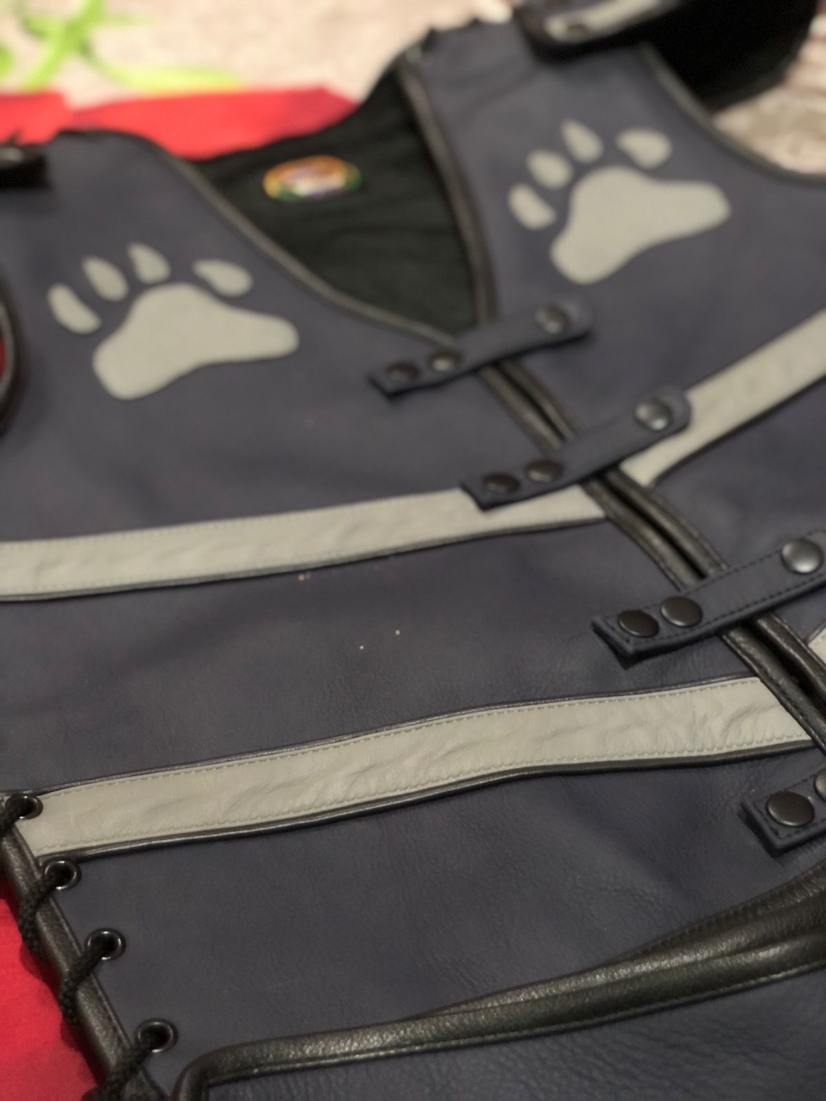 Successor Leather Pup vest and chaps