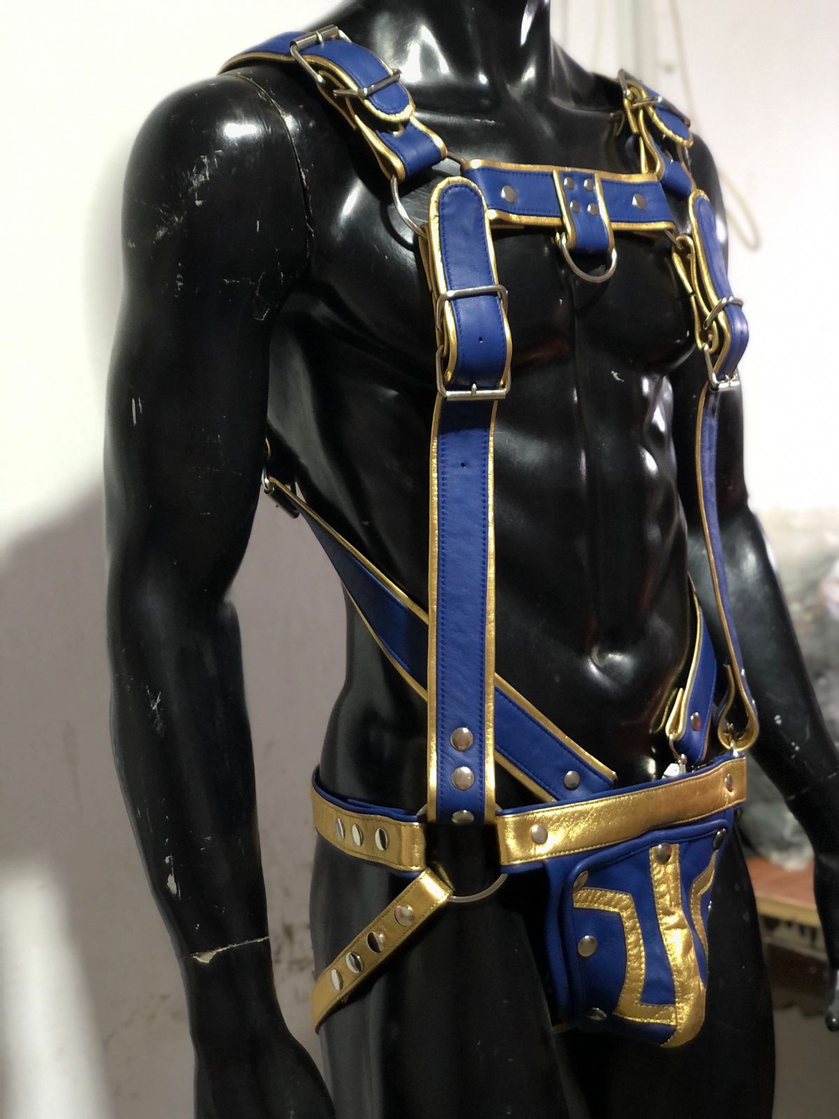 FULL BODY HARNESS BLUE AND GOLDEN TRIMS