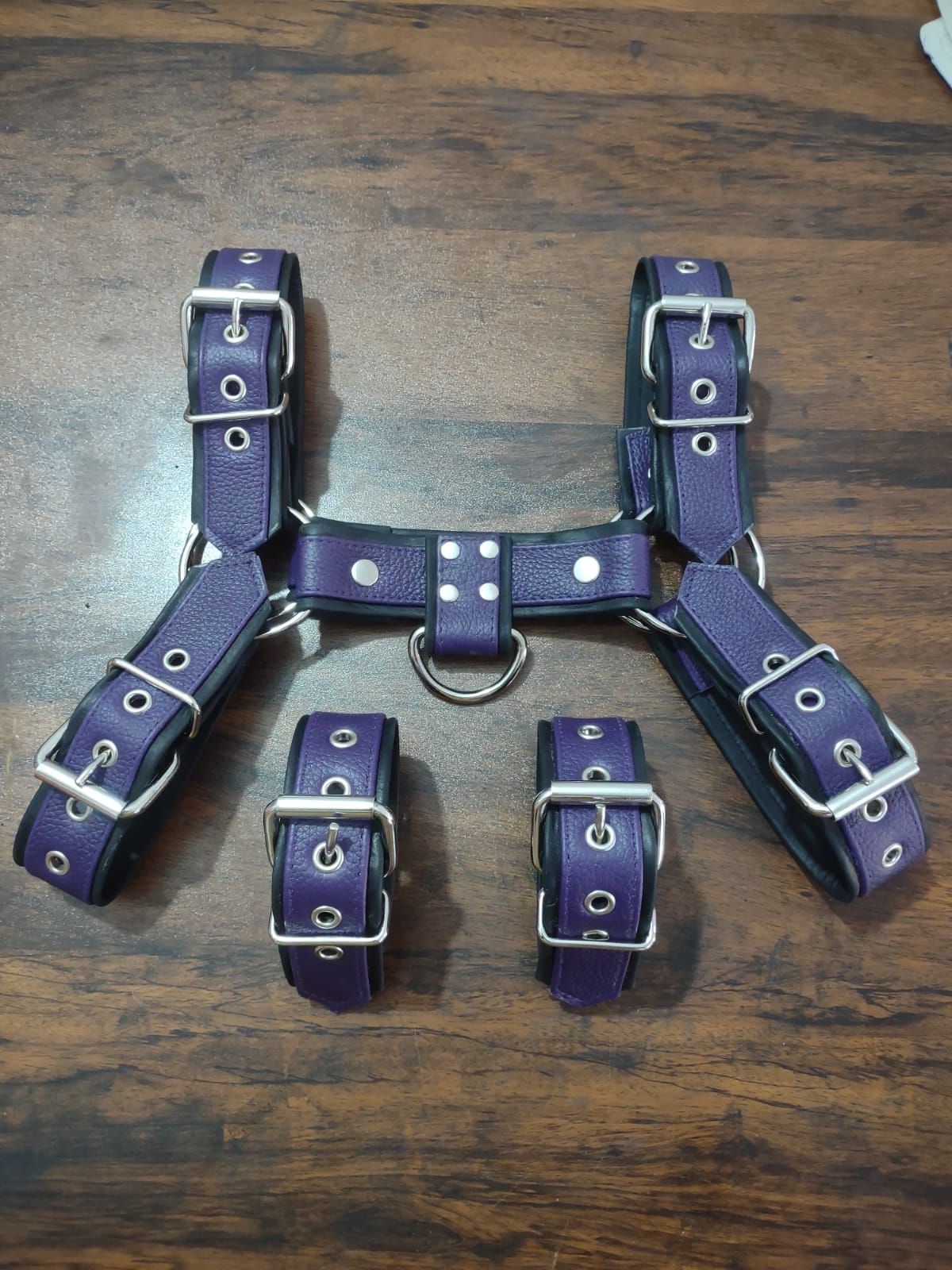 LEATHER HARNESS WITH BICEP BAND