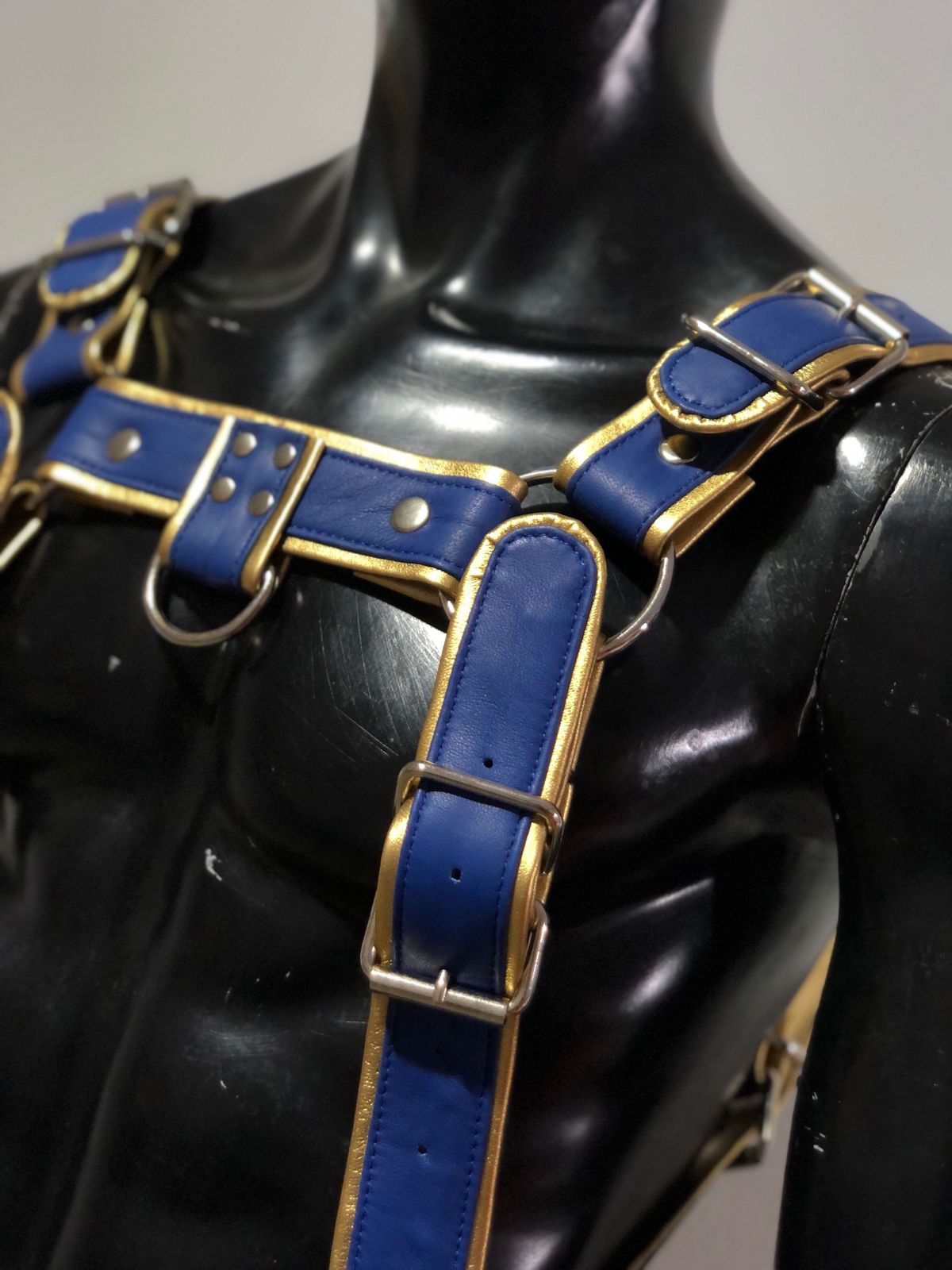 FULL BODY HARNESS BLUE AND GOLDEN TRIMS