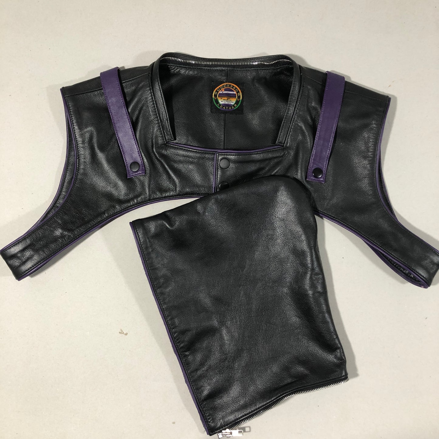 Black Leather Hood Harness with Purple trims