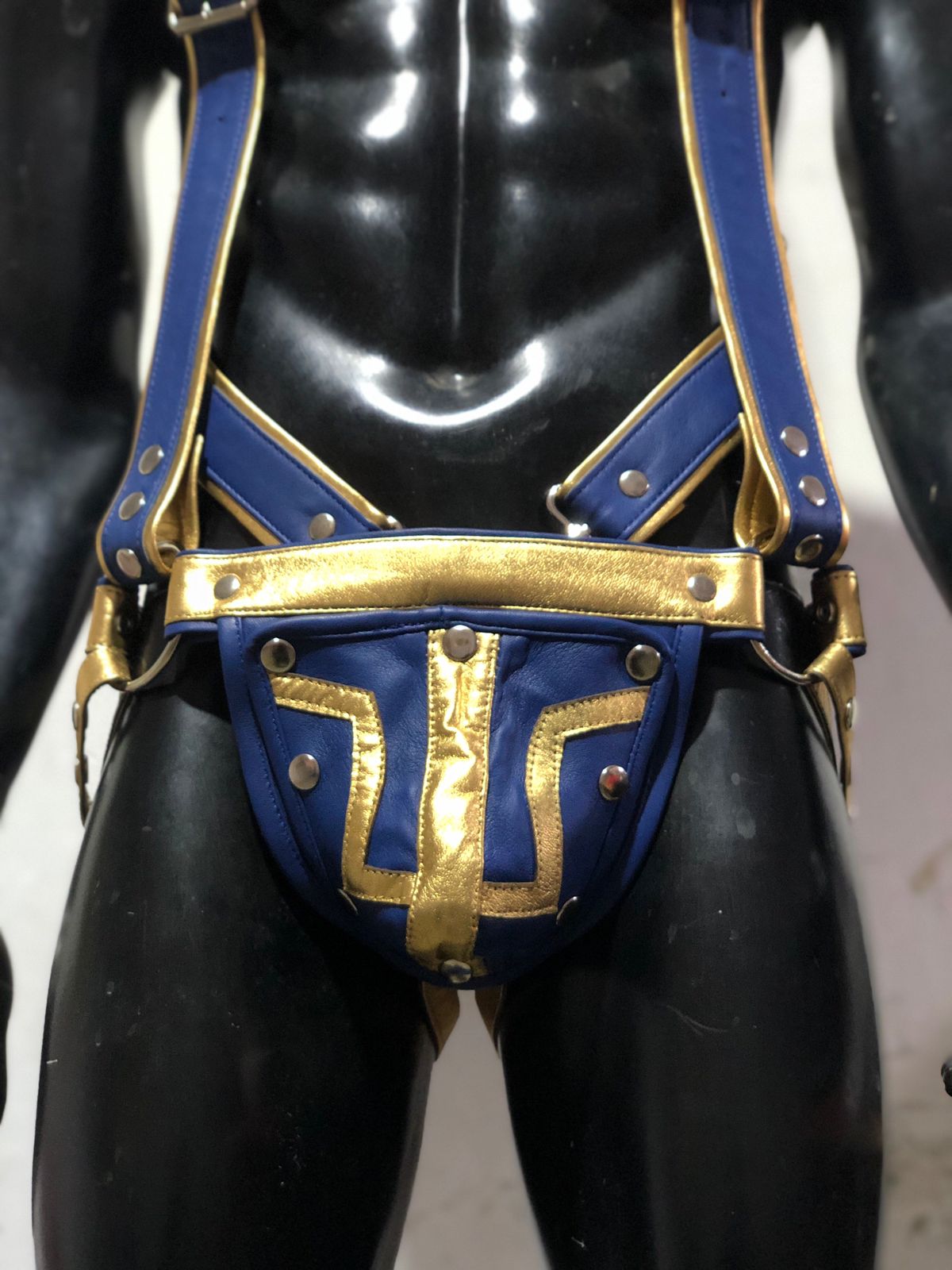 FULL BODY HARNESS BLUE AND GOLDEN TRIMS