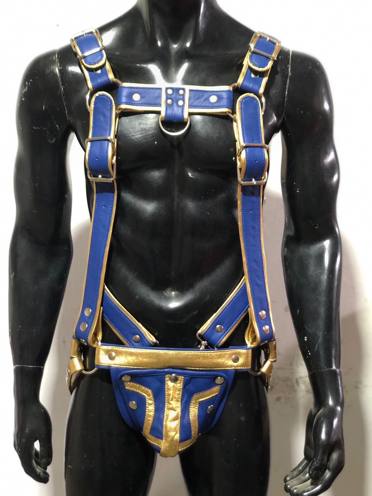 FULL BODY HARNESS BLUE AND GOLDEN TRIMS